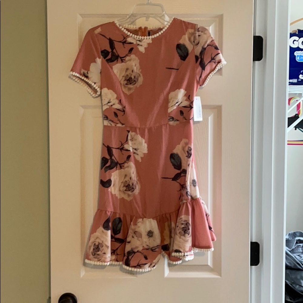 NWT pink and floral dress